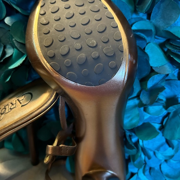 Carlos Santa - Picture 5 of 6